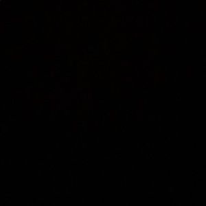 Meet your Posher, Bria